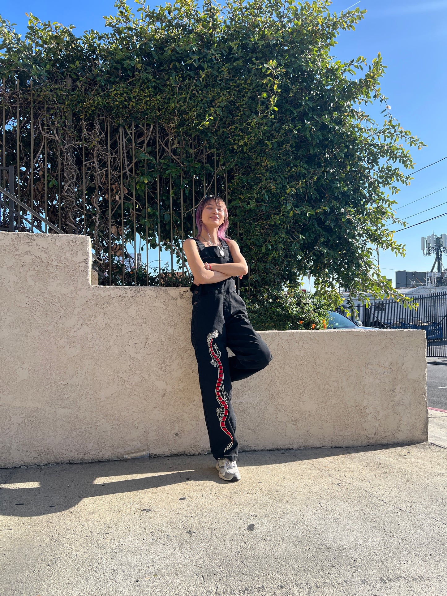Custom Embroidered "Harmony Dragon" Overalls